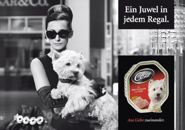 cesar_anzeige