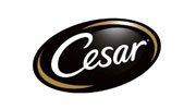 cesar_logo