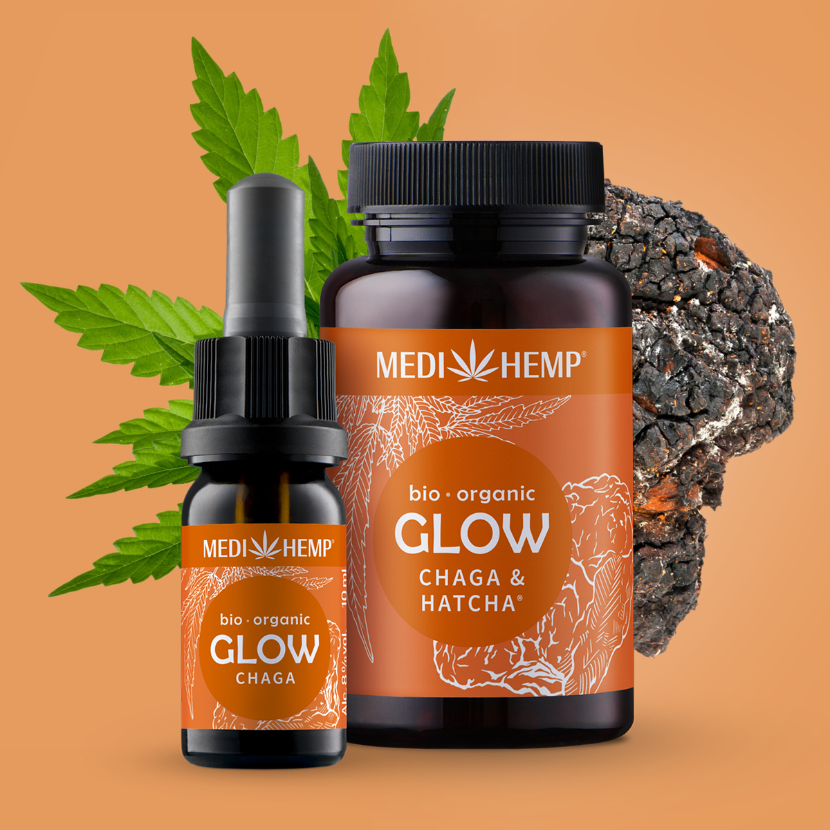 Chaga